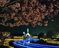 キレイな夜景もご案内いたします