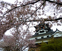 皆さんの旅への思いを形にします