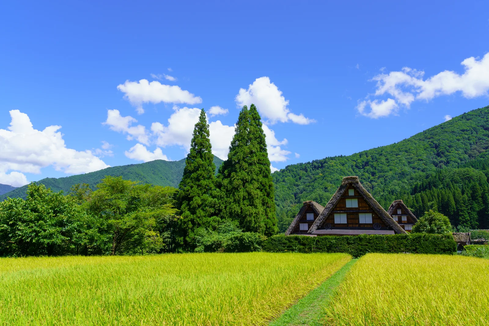 Chubu / Central Japan